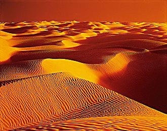 《方舟：生存飞升》MOD开发组件更新预告，新增可变玻璃、派对灯柱等